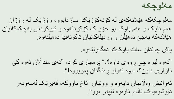 Sorani Kurdish Translation in Arabic Script