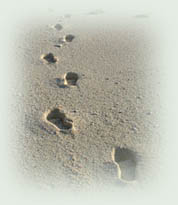 Picture of footprints in sand